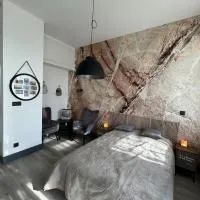 Studio Sylvinite โรงแรมในWittelsheim