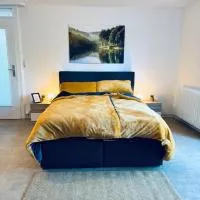 Apartment Schwarzwaldhöhen Pforzheim-Birkenfeld, hotel en Birkenfeld