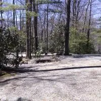Linville Falls Campground, RV Park, and Cabins, hotel em Linville Falls