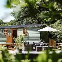 Shepherd's Hut at Lythwood, Near Shrewsbury، فندق في Baystonhill