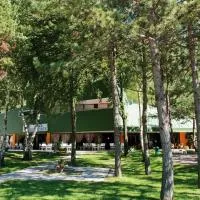 Hotel Carnia, hótel í Venzone
