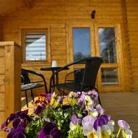 Domek na Wiejskiej, hotell i Zator