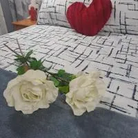 Vuurpyl Accommodation, Hotel in Klerksdorp