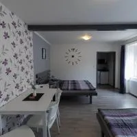 Apartmány Kamejk, hotel v destinaci Kamýk nad Vltavou