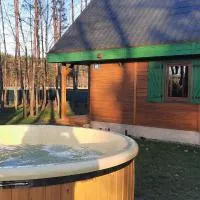 Domek na Mazurach w zagajniku przy jeziorze, Hotel in Stare Kiejkuty