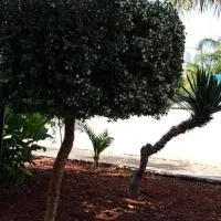 Casa Fortuna Baia Verde, hotell sihtkohas Baia Verde