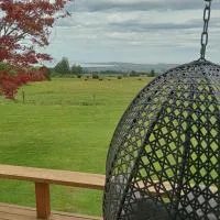 Kereru Cottage، فندق في كايكورا