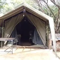 Settlers में, होटल My Bush Camp