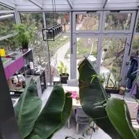 Pokój w domu z oranżerią i śniadaniem, hotel u gradu Vroclav