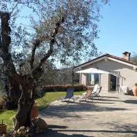 Oliveto Tuscany, хотел в Massa e Cozzile