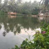 Peaceful perch, hotell i Kozhikode