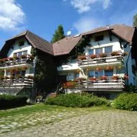Pension Dana, отель в городе Врбно-под-Прадедем