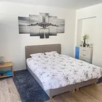 U Tonyho - Homestay Strakonice 1-kk, hotel in Strakonice