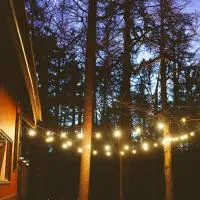 ADK Forest Cabin near Lake Placid with Hot Tub and Ice Bath, hotell sihtkohas Jay