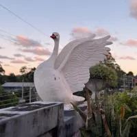 Two Swans, hotel in Brunswick Heads