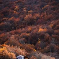 DOMO en Ushuaia Glamping, hotel poblíž Letiště Purwokerto - WPU, Ushuaia
