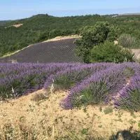 Place du village Haute Provence, 3 nuits au moins, отель в городе Puimichel