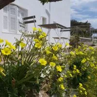 Dandelion Paros Apartments I-II, viešbutis mieste Kóstos