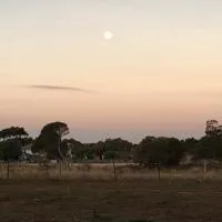 3 Campsites ONLY for Self contained Motor Homes RVs ONLY! BYO Toilet and bed! DIDO Spirit of Tasmania Stopover, Hotel in Lara