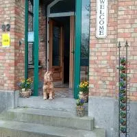 ' t Geel Huizeken - B&B, khách sạn ở Denderleeuw