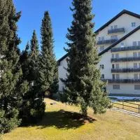 Slope-Side Mountain Apt Sleeps 4，拉克斯的飯店