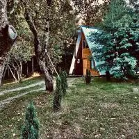 Cabañas Los Avellanos, hotel v mestu Loncoche