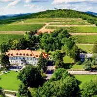 Castle Hotel Grof Degenfeld – hotel w mieście Tarcal