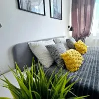 Saulė, hotelli kohteessa Anykščiai