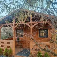 Domek pod Brzozami, hotel u gradu Pszczółki