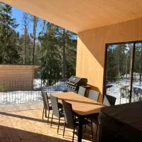 Havu Resort Laajavuori - Luksushuvila keskellä suomalaista metsää, Jyväskylä, hotelli kohteessa Jyväskylä
