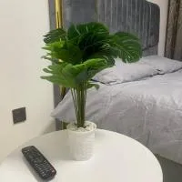 Taurus residences B2-9 near JKIA , SGR and expressway transit stay, готель у місті Syokimau