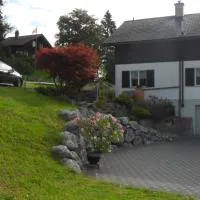 Wenk Elisabeth, hotel v destinaci Wildhaus