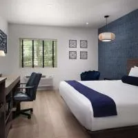 Hotel Zico, BW Signature Collection, hotel en Mountain View