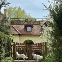 Agroturystyka Traperska Osada, viešbutis mieste Potasze