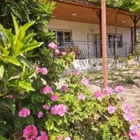 Olympos Orange Village Nature, Sea and You, hotel di Kumluca