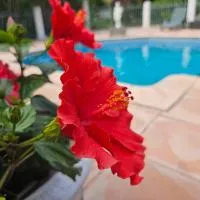 Les jardins du Patriarche Hôtel, hotel em Agde