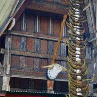 Authentique Homestay, Hotel in Rantepao