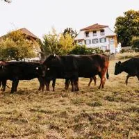 Bauernhaus mit Traumblick über Bern, ξενοδοχείο σε Bolligen