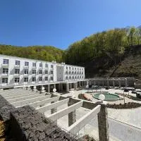 Dom Zdrojowy CECHINI, hotel en Żegiestów