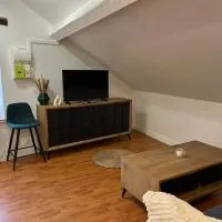 Appartement cosy à 20 min de Disney, hotel em Gretz-Armainvilliers