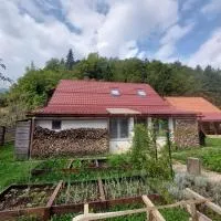 Apartman pri Kupi, Hotel in Kuželj