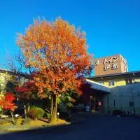 Hotel Route-Inn Court Ina, Hotel in Ina