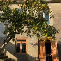 Cozy place in mountains of Ajaria, hotelli kohteessa Kokhi