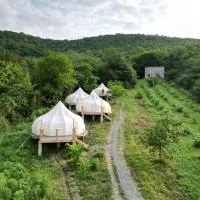 Peace Camp Gremi, отель в городе Греми