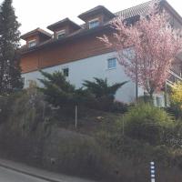 Mayerhofer House, Hotel im Viertel St. Magdalena, Linz