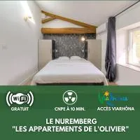 Le Nuremberg - Les appartements de l'olivier، فندق في Loyettes