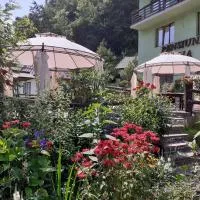 Pensiunea Ana, hotel u gradu 'Cavnic'