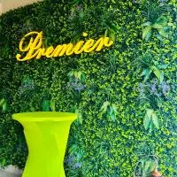 Pensiune Premier, hotel a Doctor Petru Groza