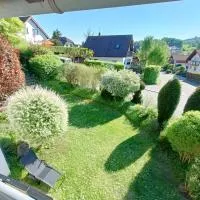 Ferienwohnung Rimbach im Odenwald โรงแรมในRimbach