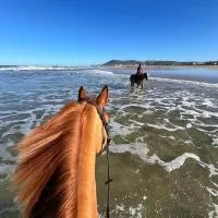 Royal Club Equestre Detroit Bed and Breakfast, hotel em Tânger